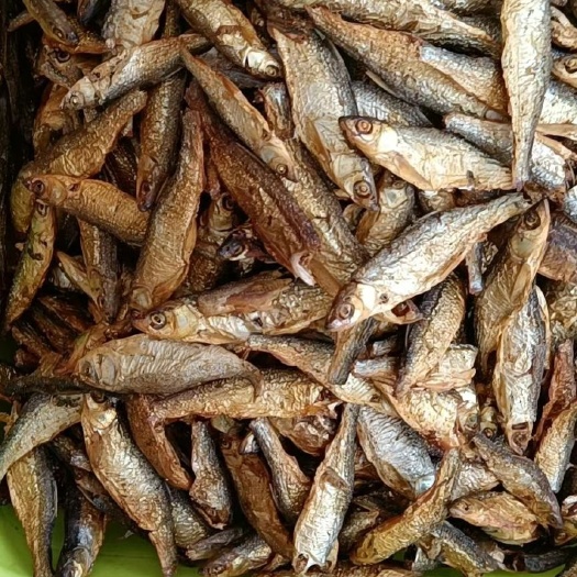 全州县鲤鱼干  川条子，小溪鱼，白鱼干，火培鱼桂林漓江特级优质水源