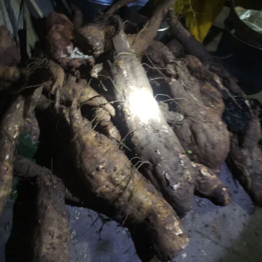 重庆市粉葛  野生葛粉