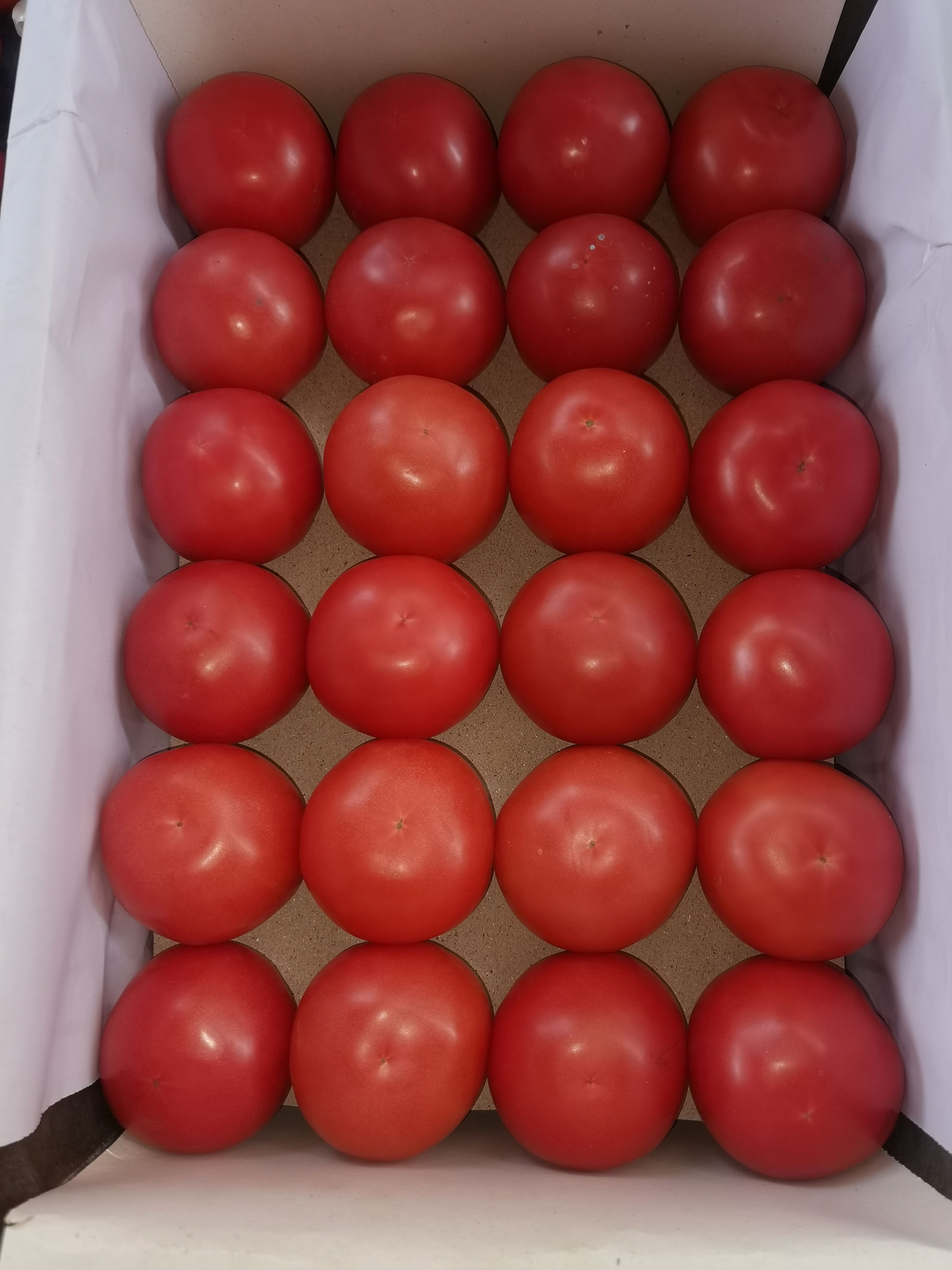 精品硬粉西红柿，沙瓤自然成熟，硬度好，果型好颜色量