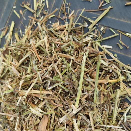 郸城县花生秧 猪 牛 羊 马 兔 