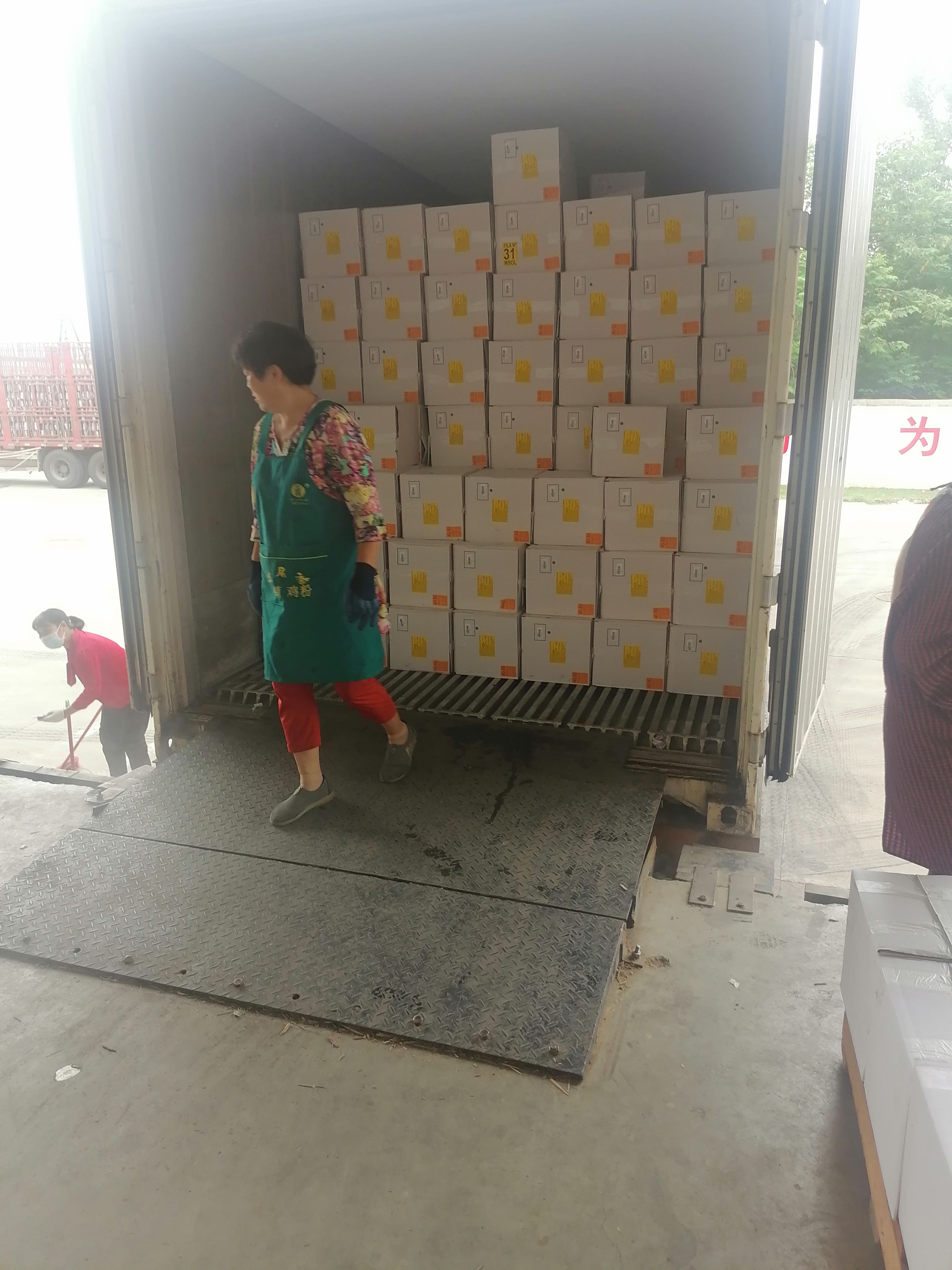 南美白对虾  青虾