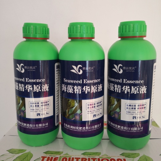 【海藻精华原液】泡叶藻，生根，平衡生长，防病毒