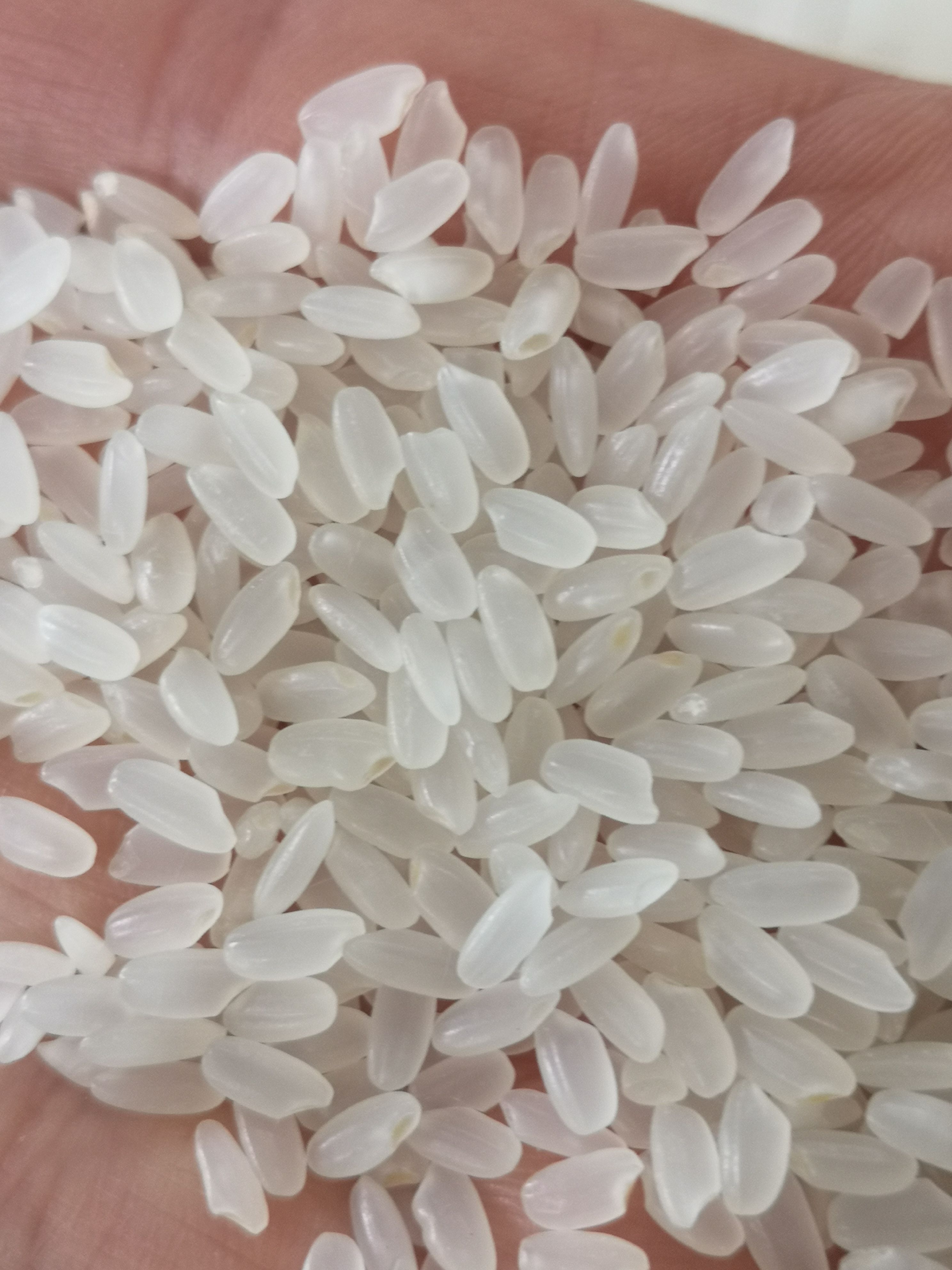 五常市粳米  精选  东北大米，长粒香米产自黑龙江