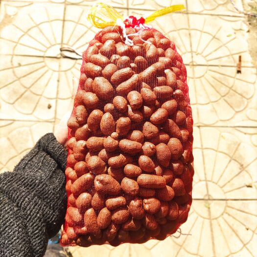 冠县大量供应山药豆通货