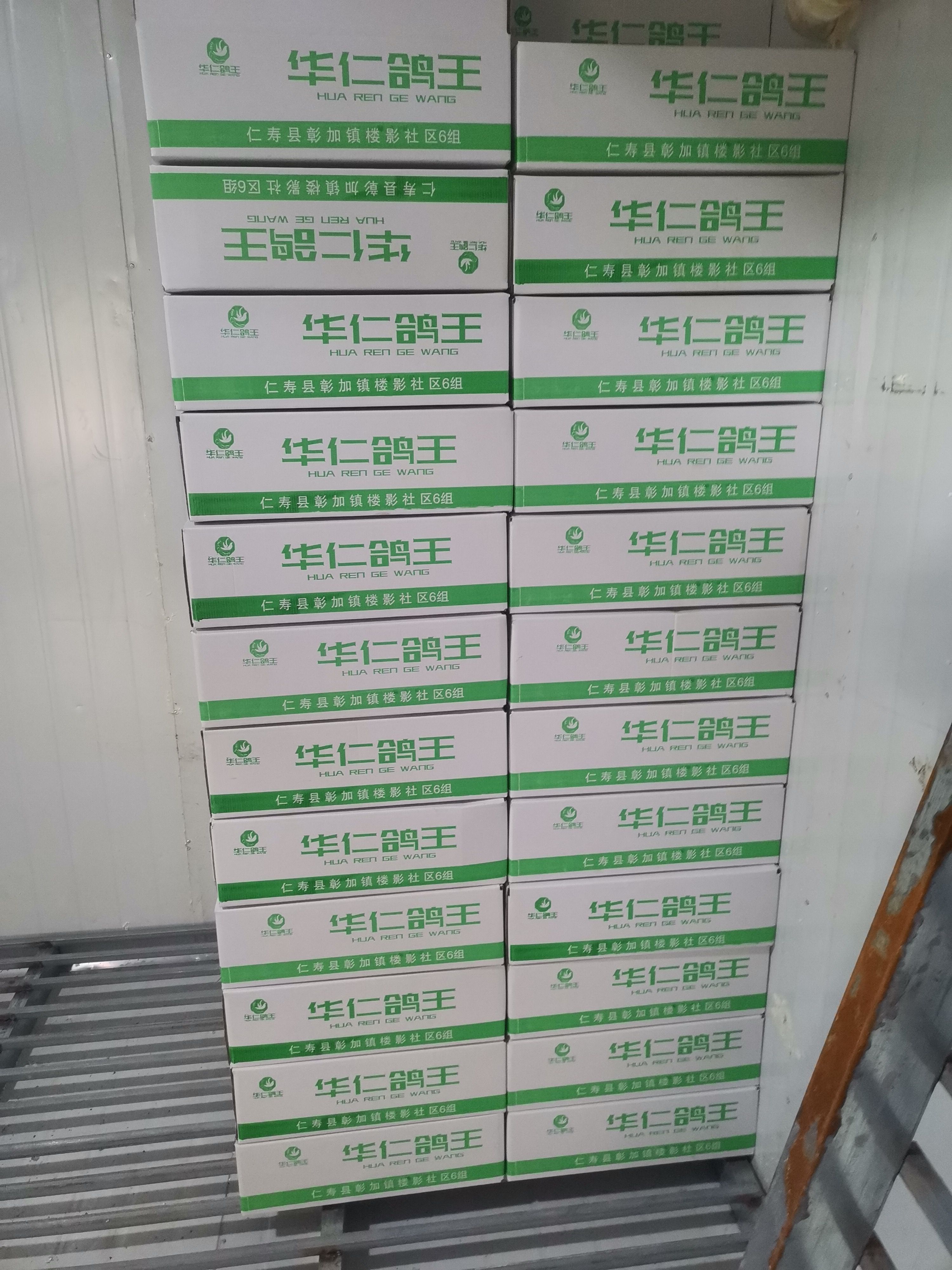 乳鸽  冻货接单中，5-6，6-7，7-8，8-9，规格齐全。