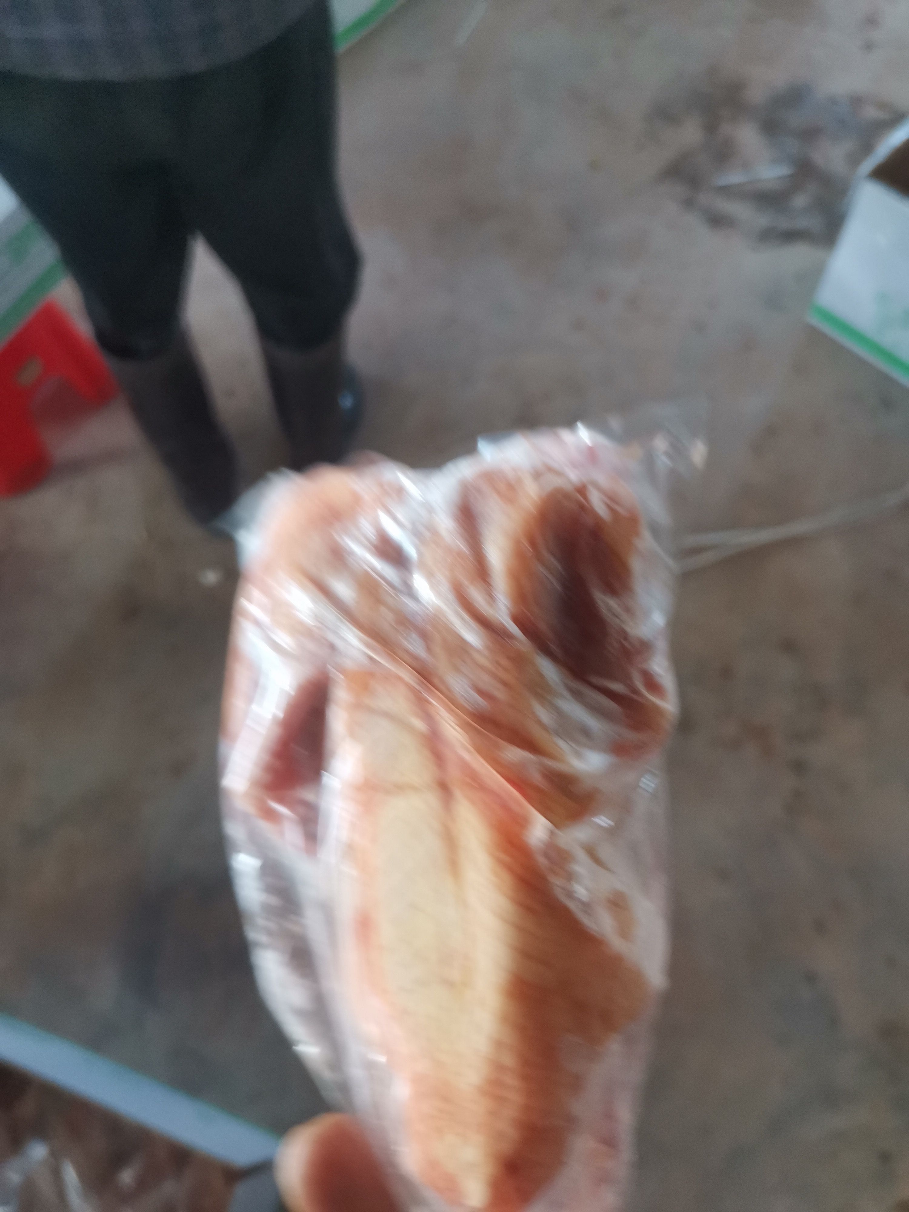 乳鸽  冻货接单中，5-6，6-7，7-8，8-9，规格齐全。