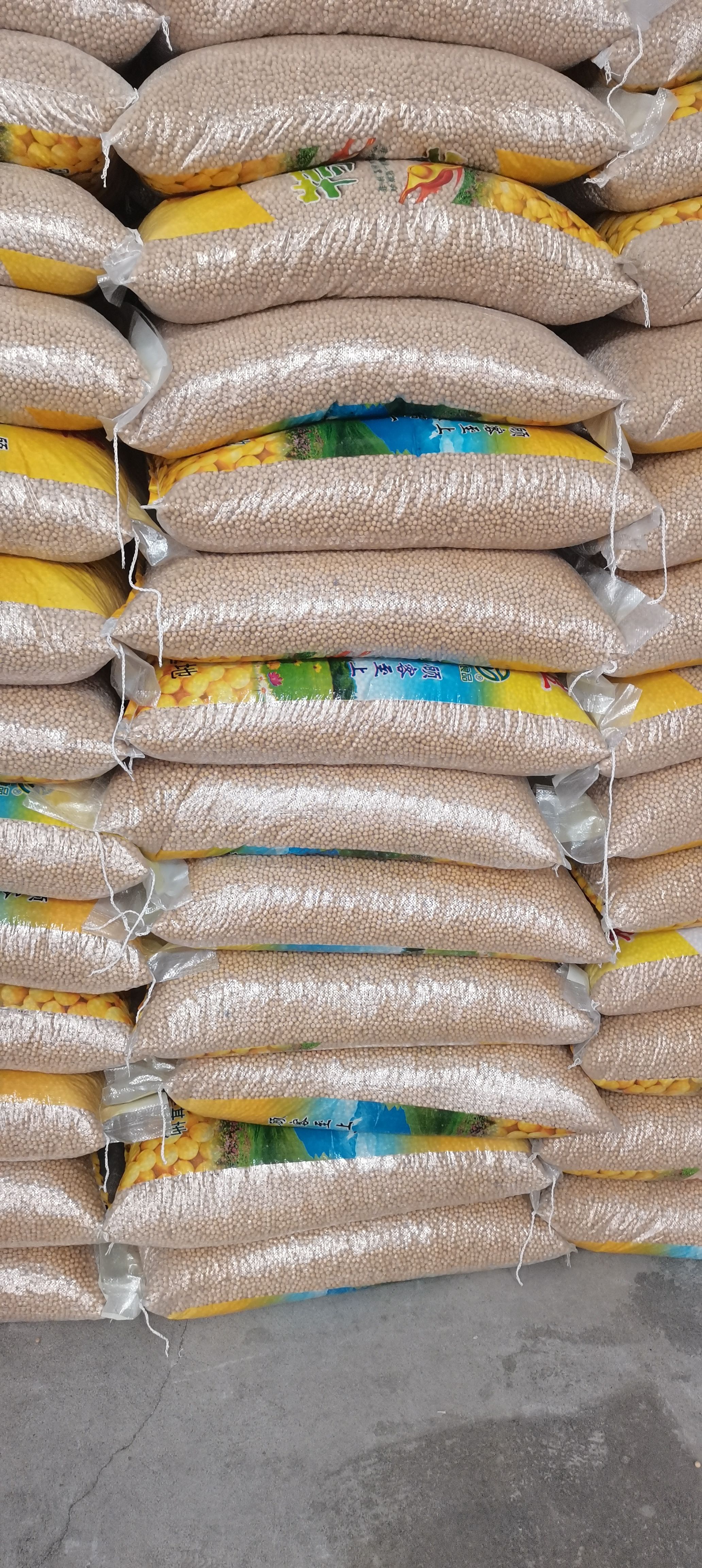 国产  大豆 东北大豆 /苏北大豆/高蛋白做豆制品高蛋白