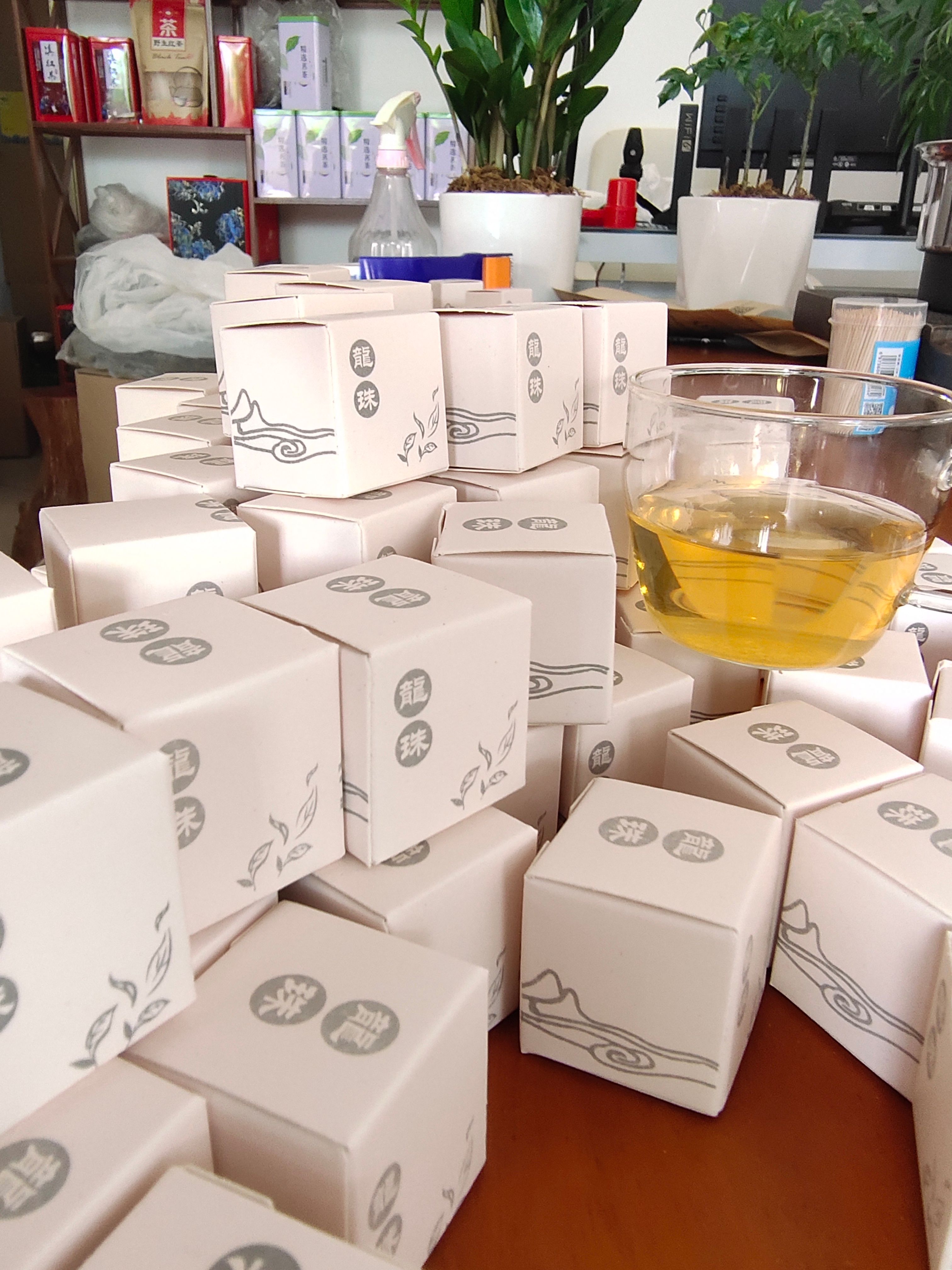 古树茶  龙珠茶 礼盒装 龙珠 生茶古树 回味甘甜