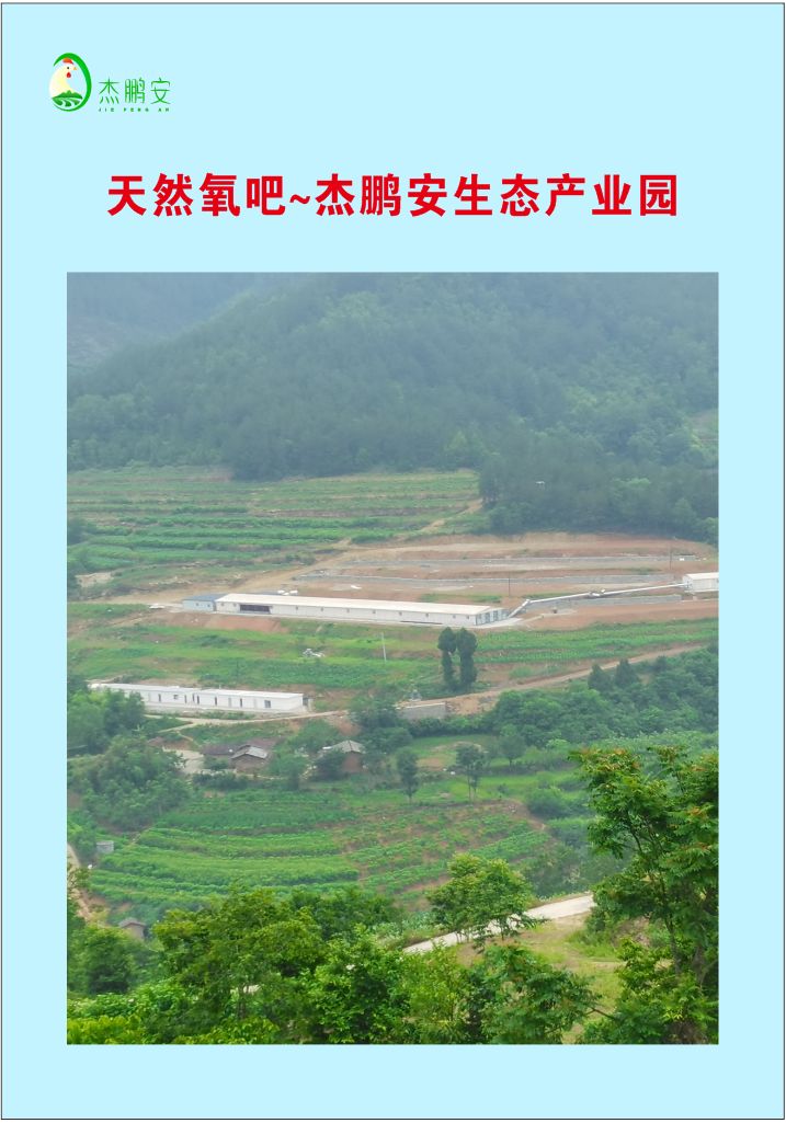  乳酸菌富硒鸡蛋
