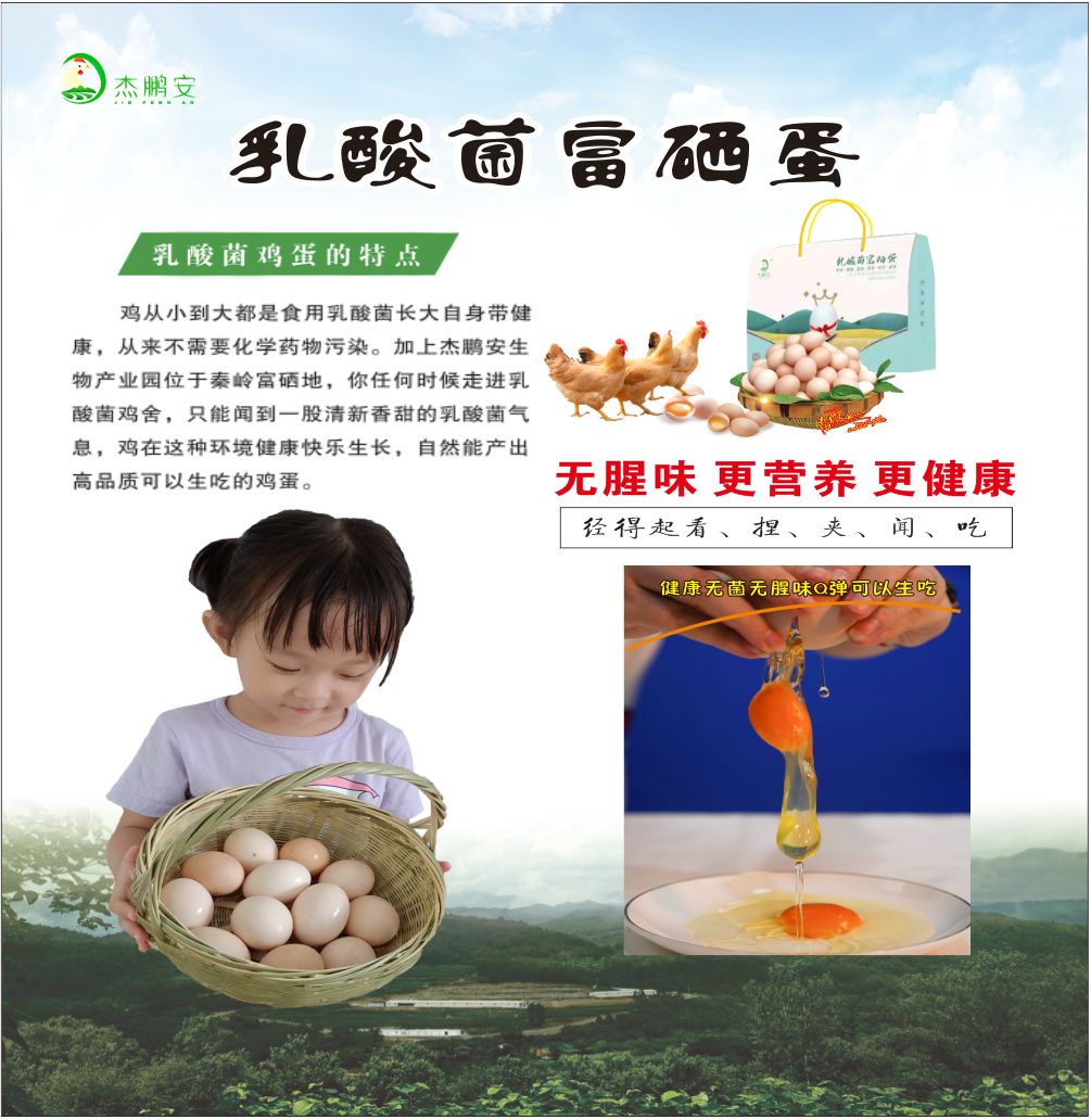  乳酸菌富硒鸡蛋