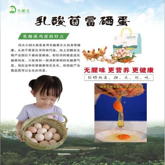 石泉县 乳酸菌富硒鸡蛋