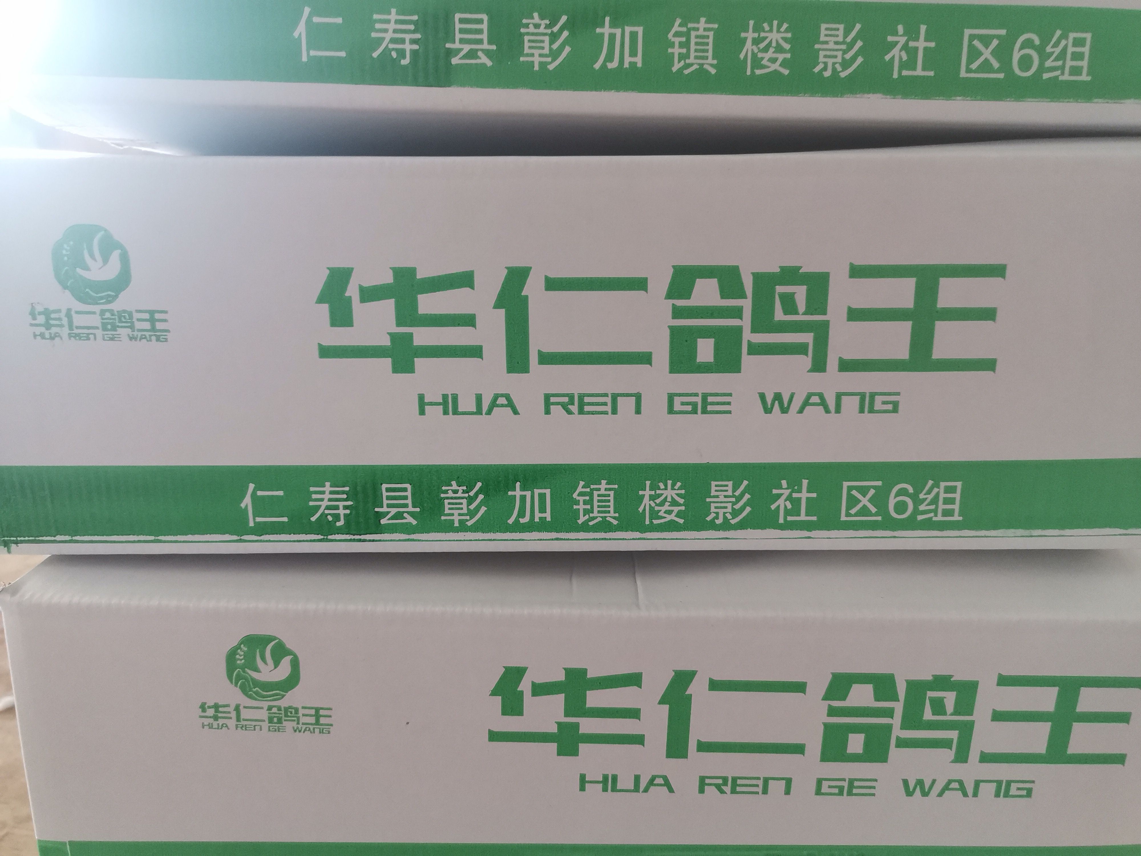 乳鸽  冻货接单中，5-6，6-7，7-8，8-9，规格齐全。