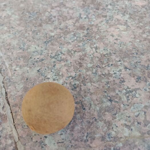 厦门桂圆干  凤梨穗龙眼干
