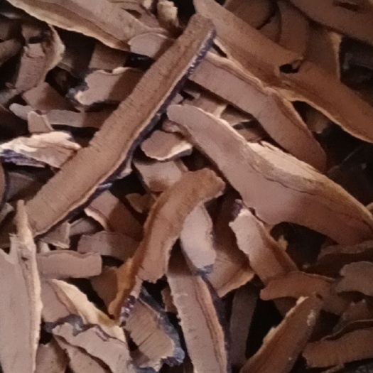 冠县黑灵芝人工切片，泡茶，泡酒，煲汤