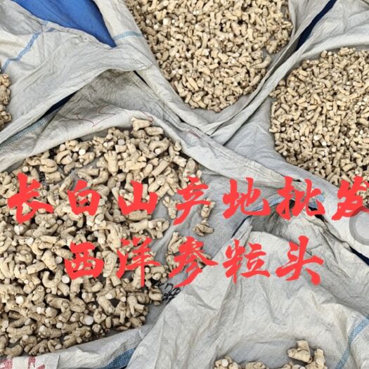 抚松县批发 长白山 西洋参粒头 花旗参粒头 规格齐全 包邮