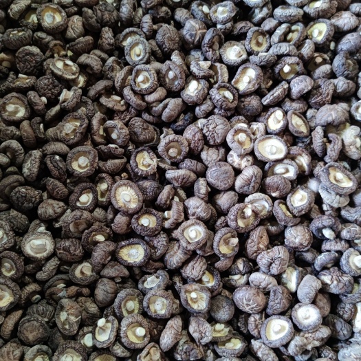 商洛黑面菇  干香菇冬菇厚菇包邮一件代发