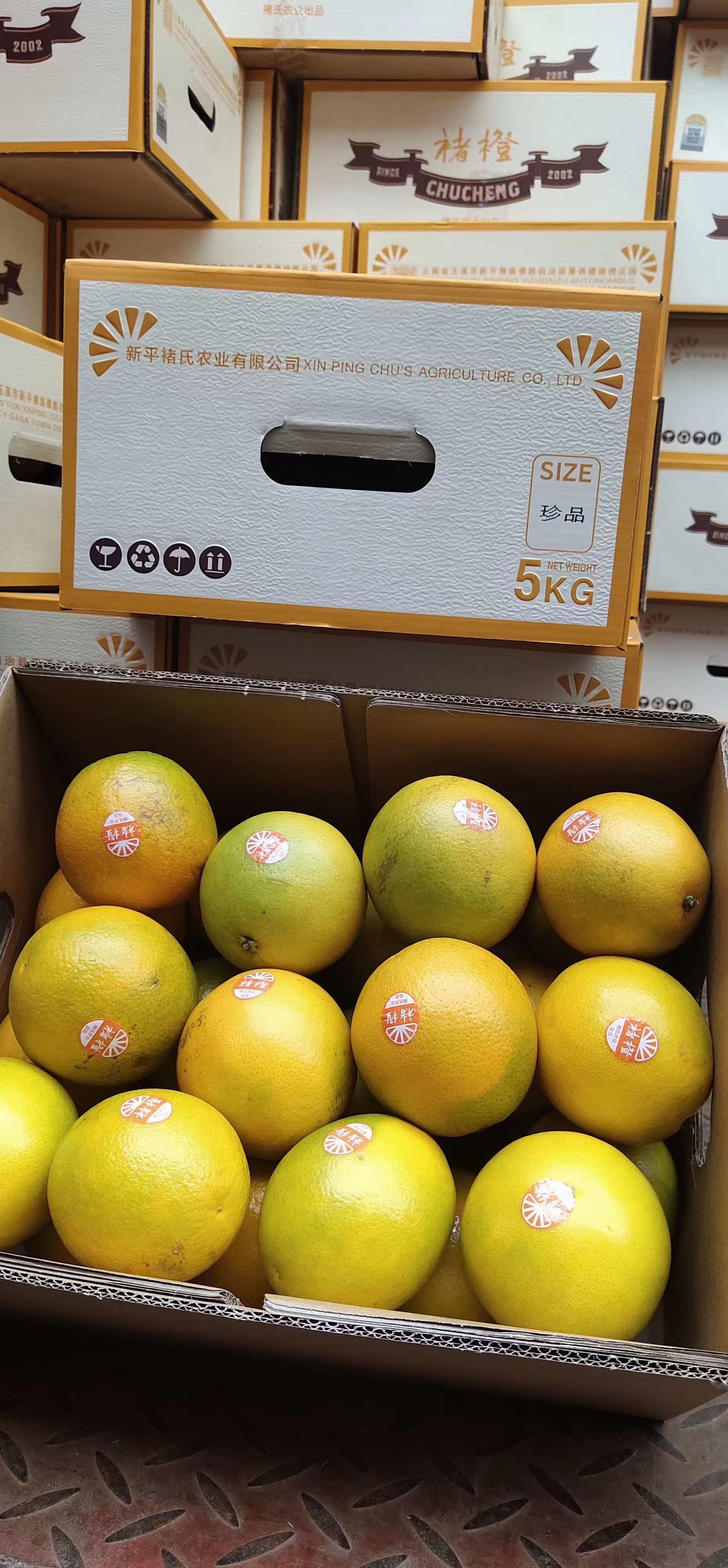 冰糖橙  云南褚橙 产地直发 可预定各级 价格实惠 可发整车或零担