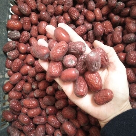 巴楚县 新疆灰枣