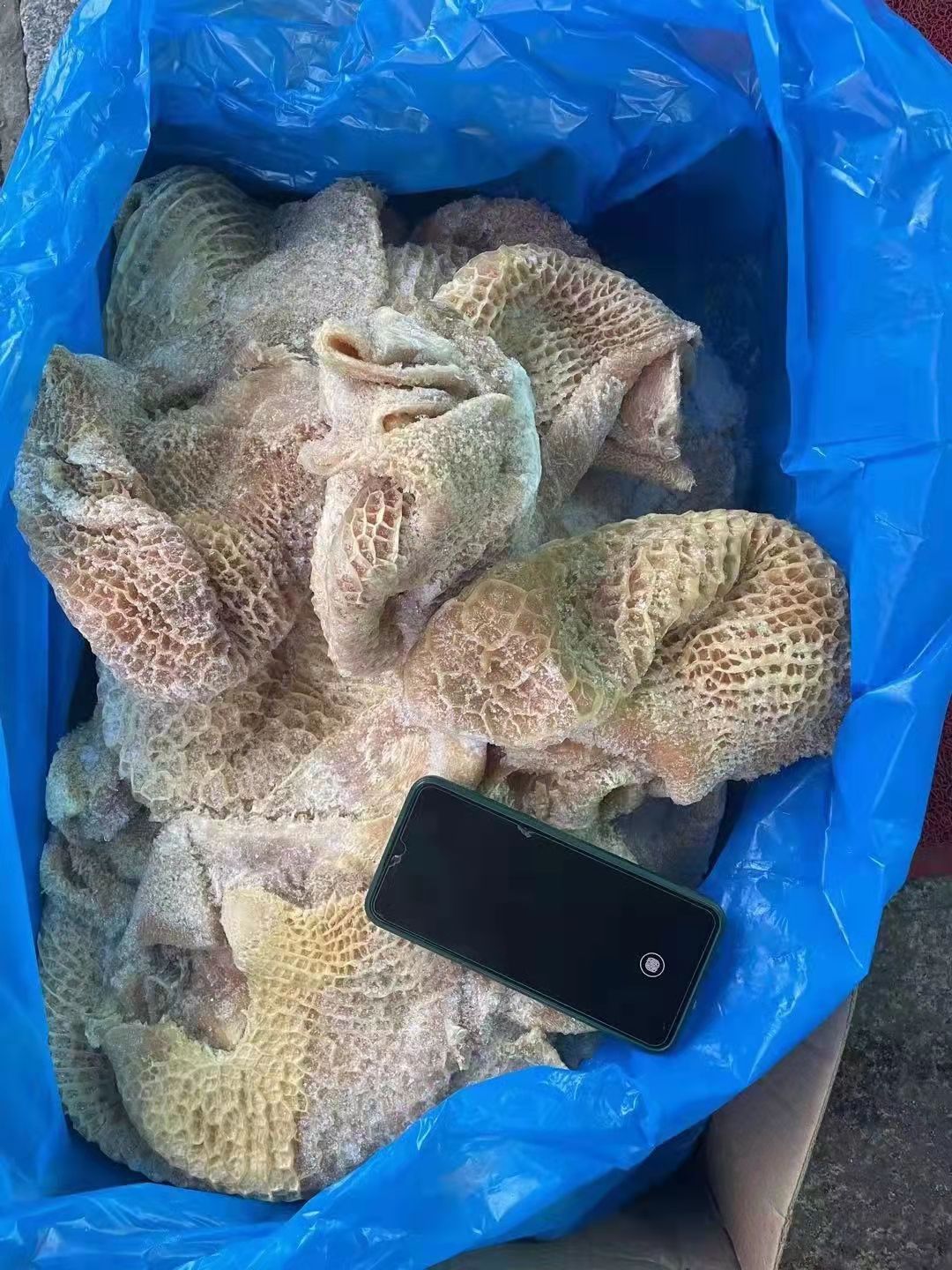 牛肚  干水金钱肚，好货