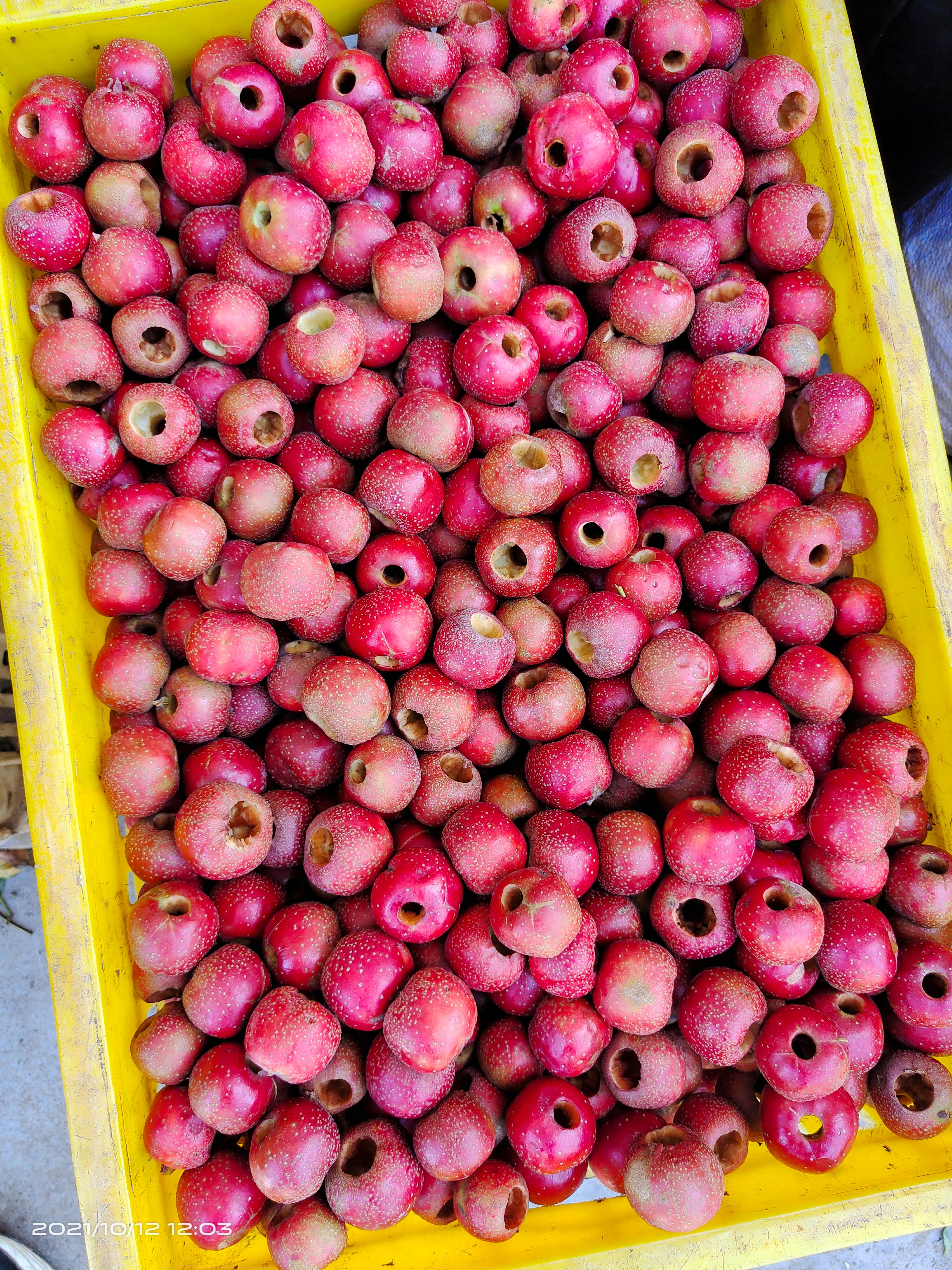 大量供应手工大金星山楂壳，速冻山楂壳，可根据质量要求定做！