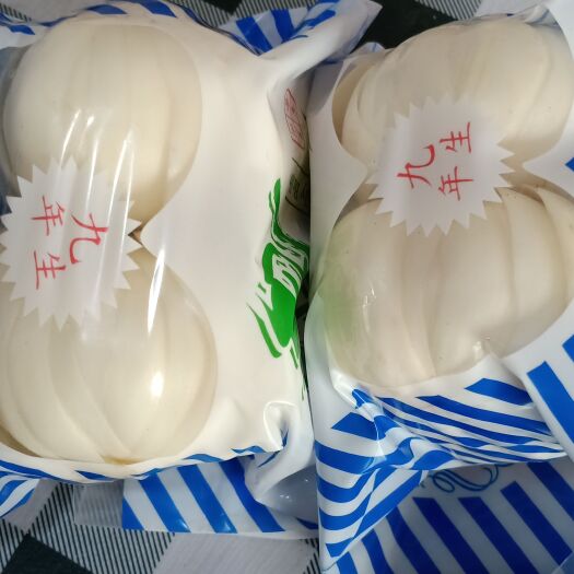 临洮县甜百合 兰州鲜百合，特级两头皇，精品礼盒装，