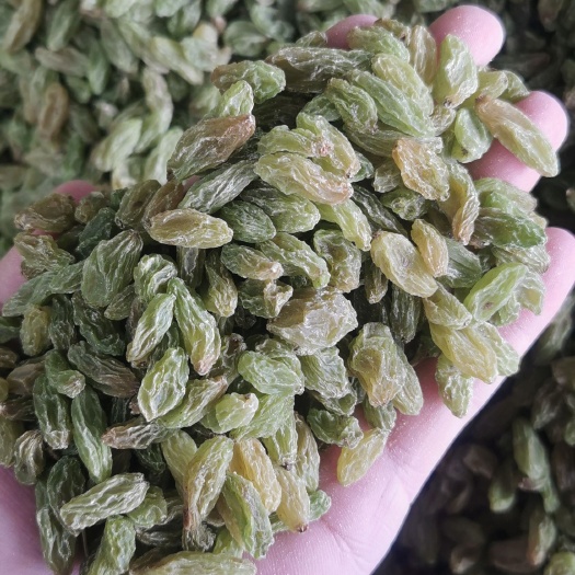吐魯番綠葡萄干  吐魯番市無(wú)核白葡萄干-綠寶石葡萄干-葡萄干