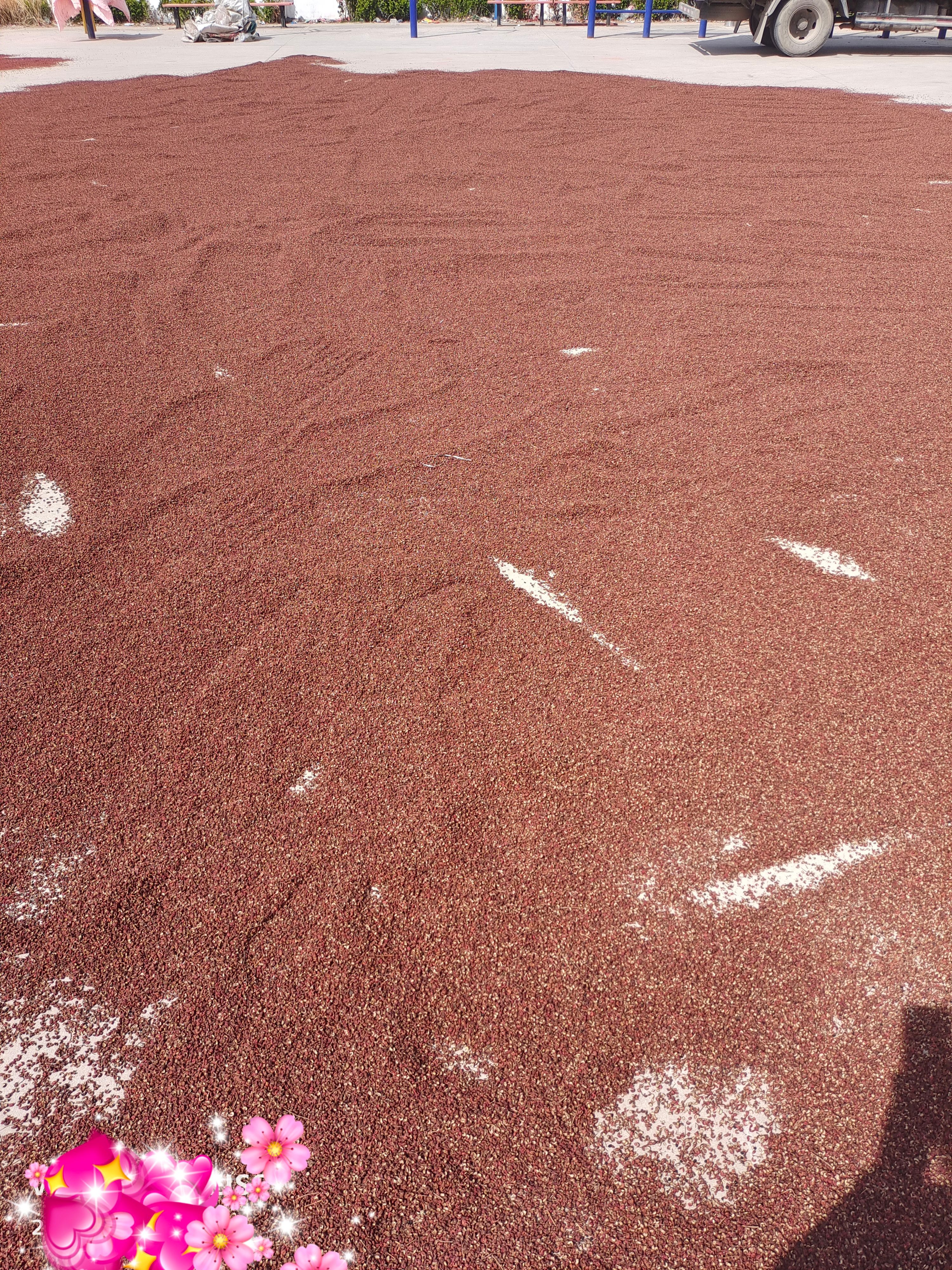 花椒粉批发零售 按需定制坏损包赔 支持代发