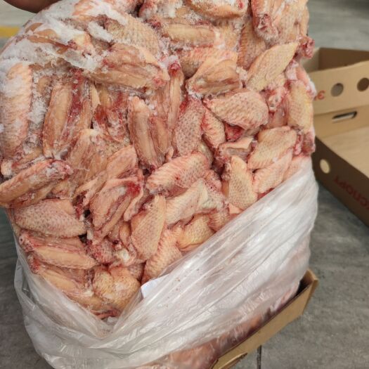 青岛鸡肉类 050501板冻翅中