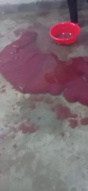 红虫  天然红线虫批发