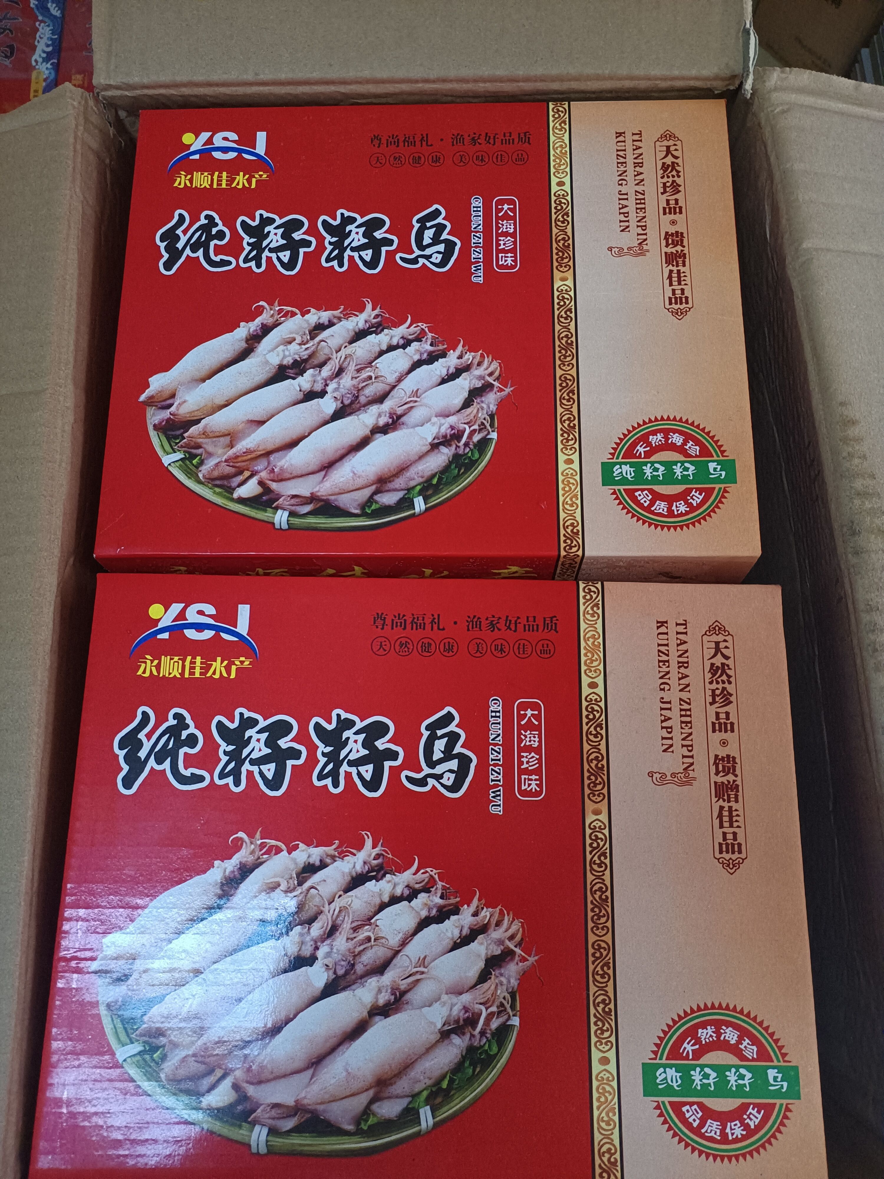 皮氏枪乌贼  籽乌 小鱿鱼 黑斗鱼 海兔