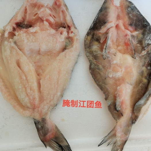 深圳鮰鱼  开背腌制江团鱼700-900深圳厂家直销