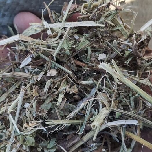遂平县 袋装羊草，黄绿花生秧，有需要的联系我