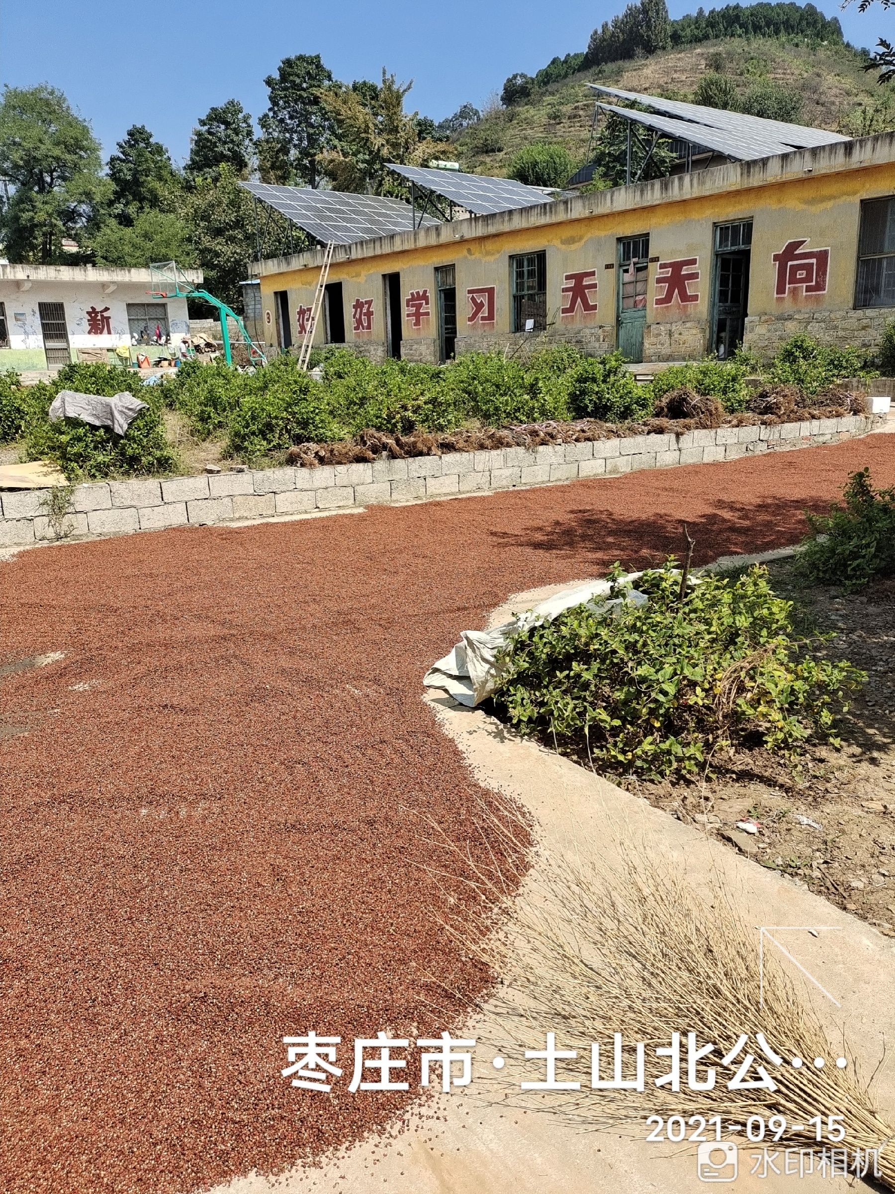 大红袍花椒产地直销  一件发货一斤也是批发价