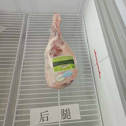 永登县羊腿肉 甘肃羔羊后腿，5-7斤重