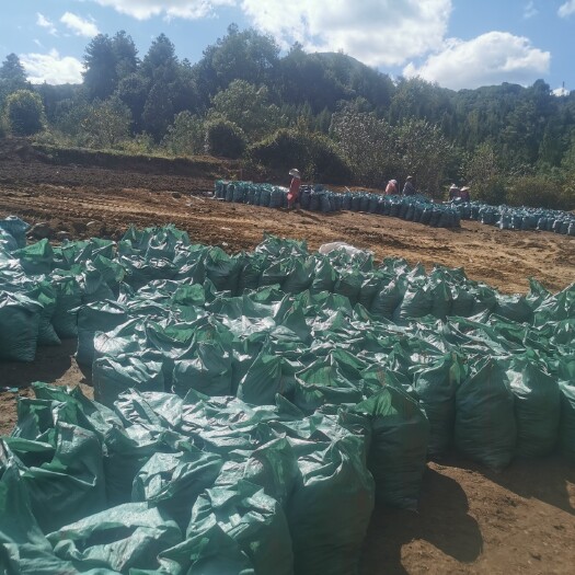 腾冲市 牛粪，散装300一吨，袋装400一吨。