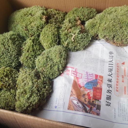 汉阴县 青苔白发鲜