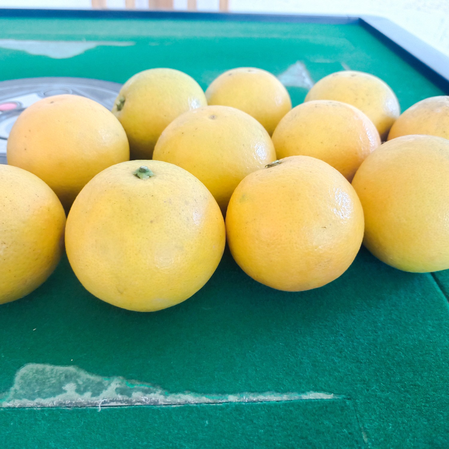 冰糖橙纽荷脐橙