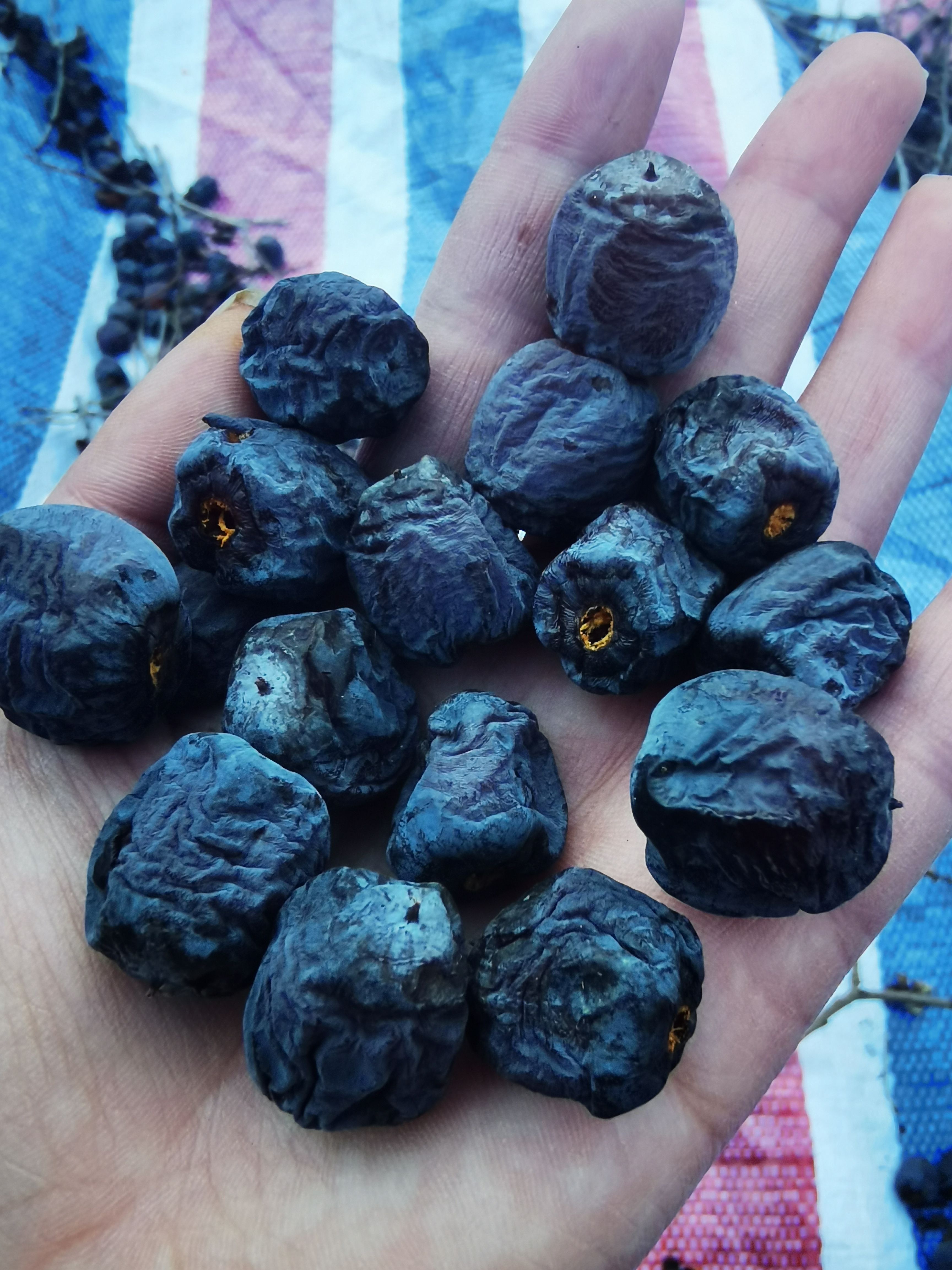 河北无核黑枣，产地直发，一站式服务