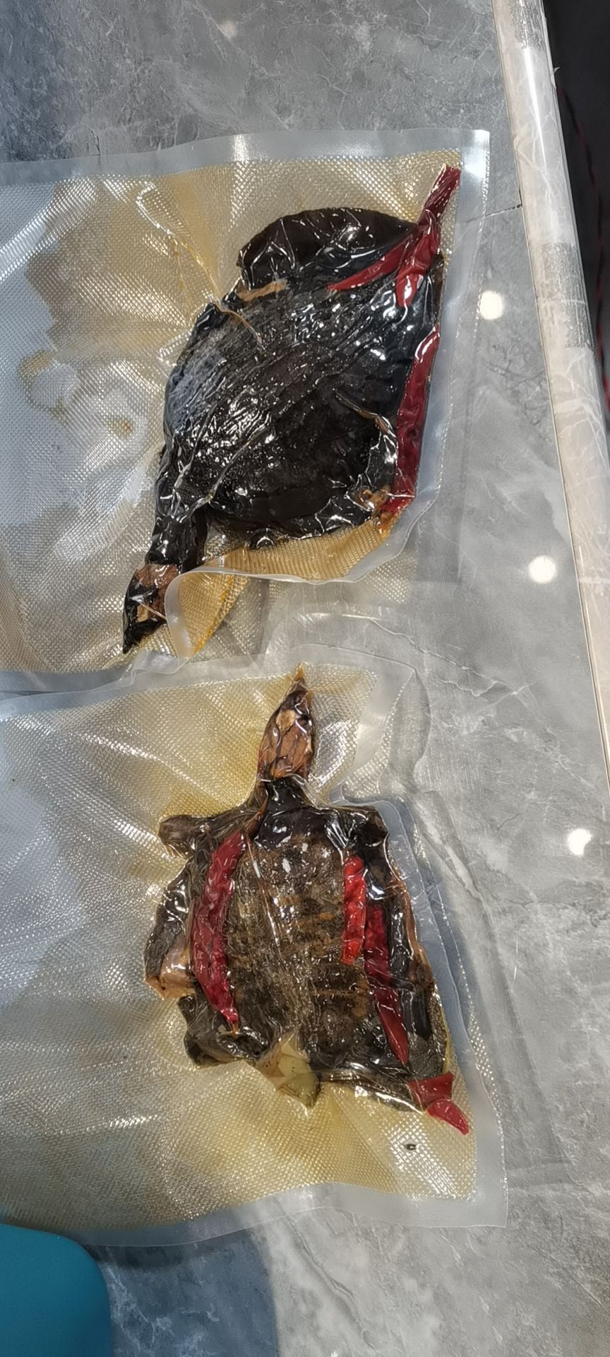 卤甲鱼 1个月