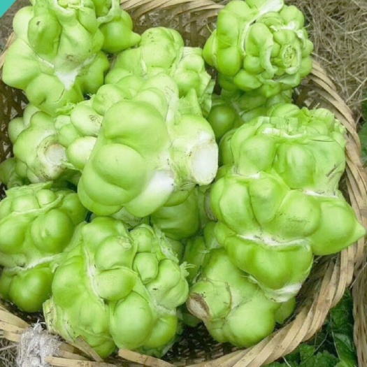 豐都小葉榨菜 青菜頭涪陵榨菜