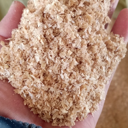安平县麦麸 小麦纯麸皮大中片，