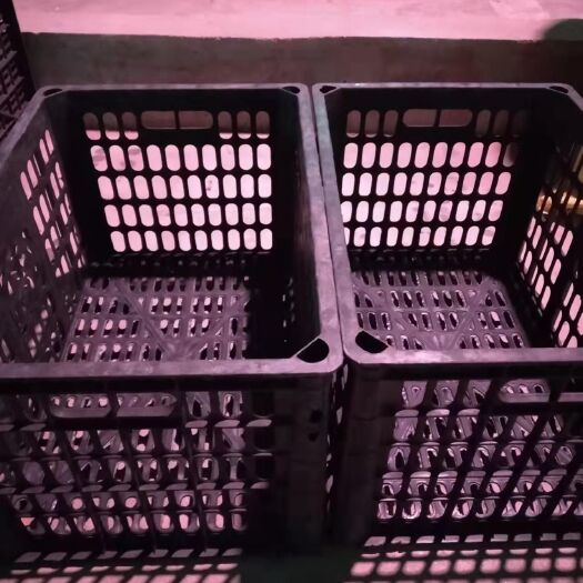 成都蔬菜水果塑料筐子