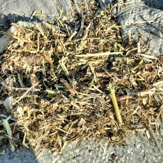 蒙城县花生秧 优质牛羊草