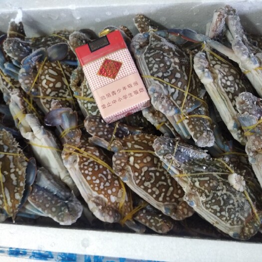 湛江蓝花蟹兰花蟹香辣蟹原材料适合清蒸爆炒香辣蟹一件净重10斤活冻