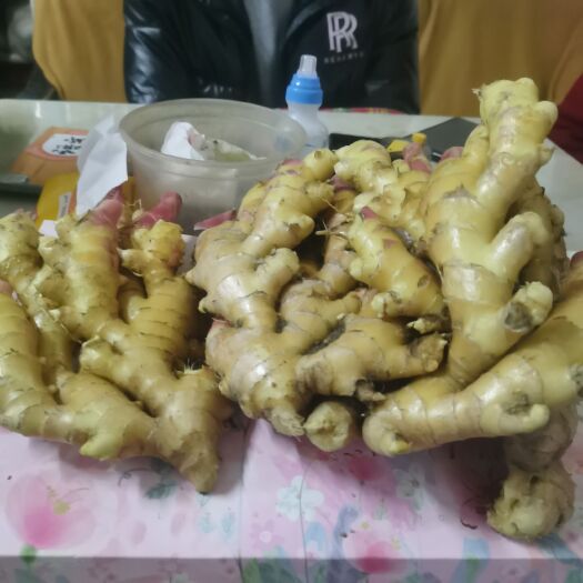 资兴市生姜 湖南汝城红芽仔姜，无病，无烂，无斑，版型好，需要的联系。