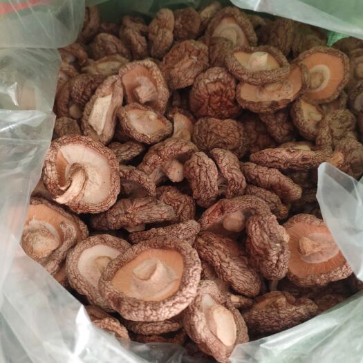 庄河市干香菇（一级品）