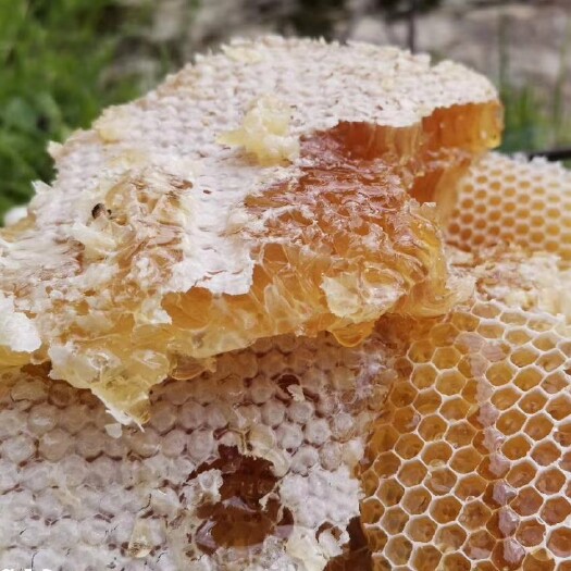 玉龙县 蜂蜜，纯野蜂蜜。