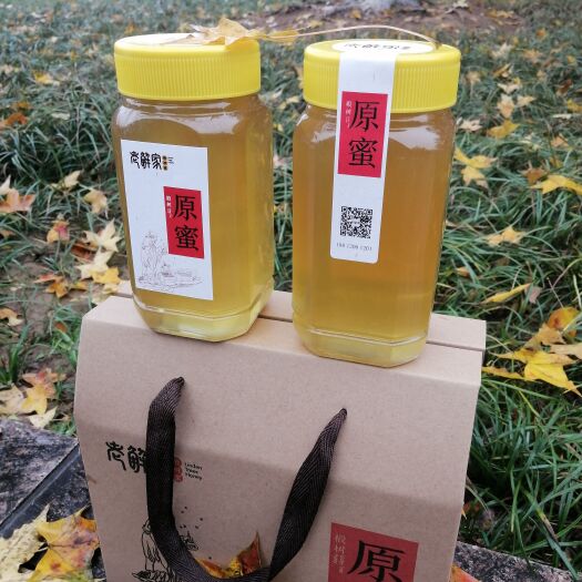 徐州椴树蜜 椴树原蜜