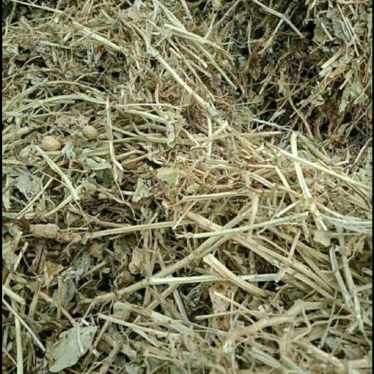 上蔡县秸秆饲料 青草  花生秧