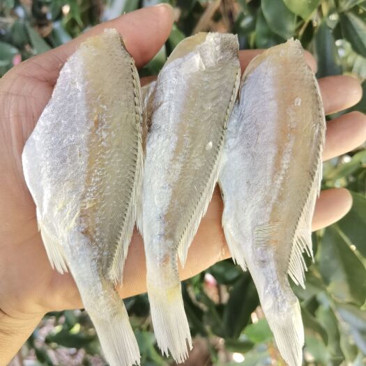 北海去下巴小黄花鱼干小鱼干咸鱼干